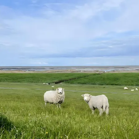 Lejlighed Deich Auf *