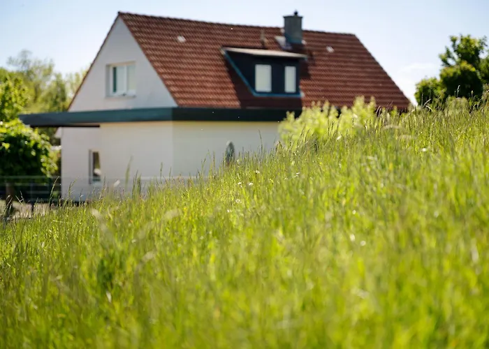 Appartement Deich Auf *